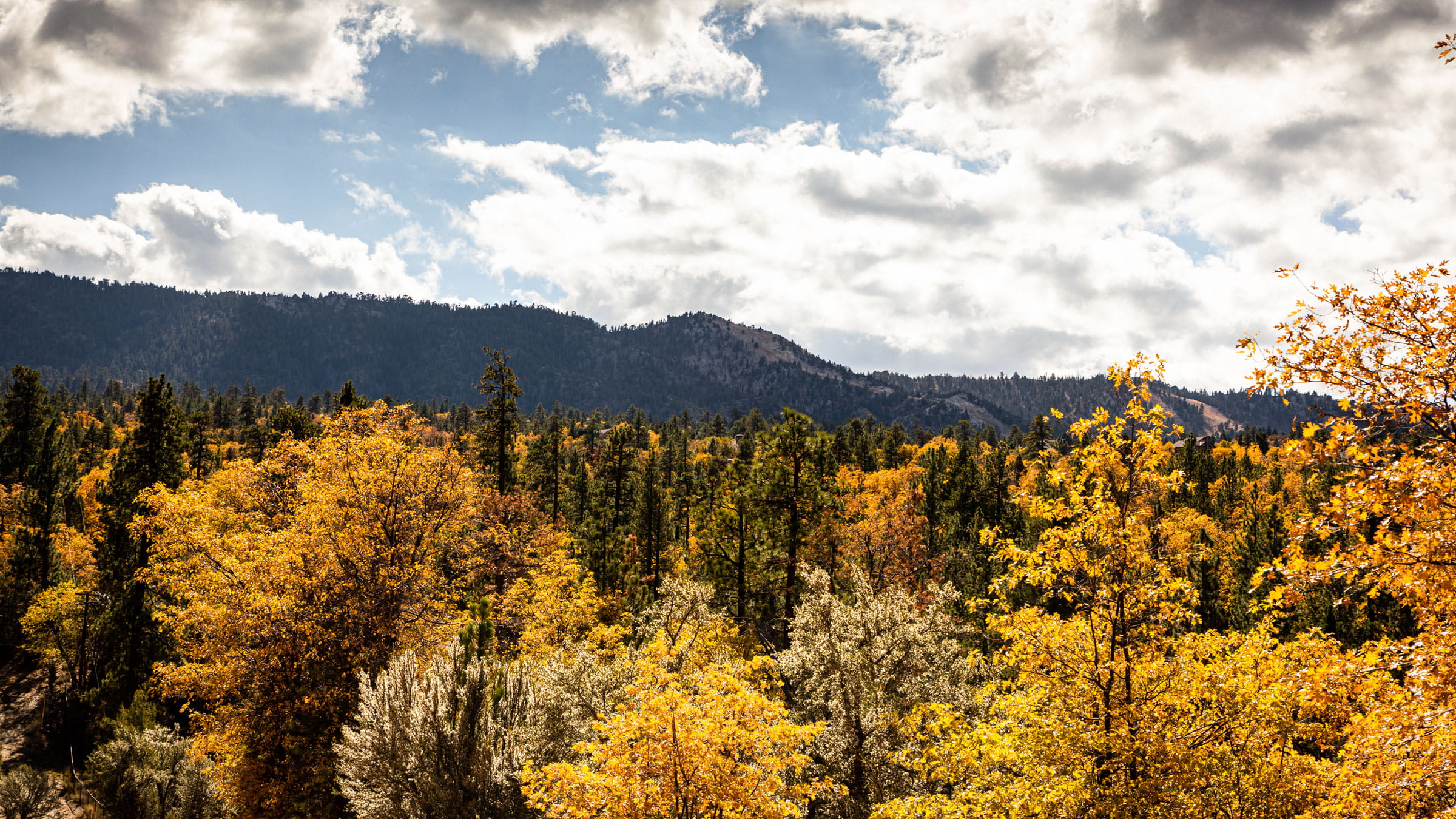 Ariel view of fall colors with mountain and sky in background